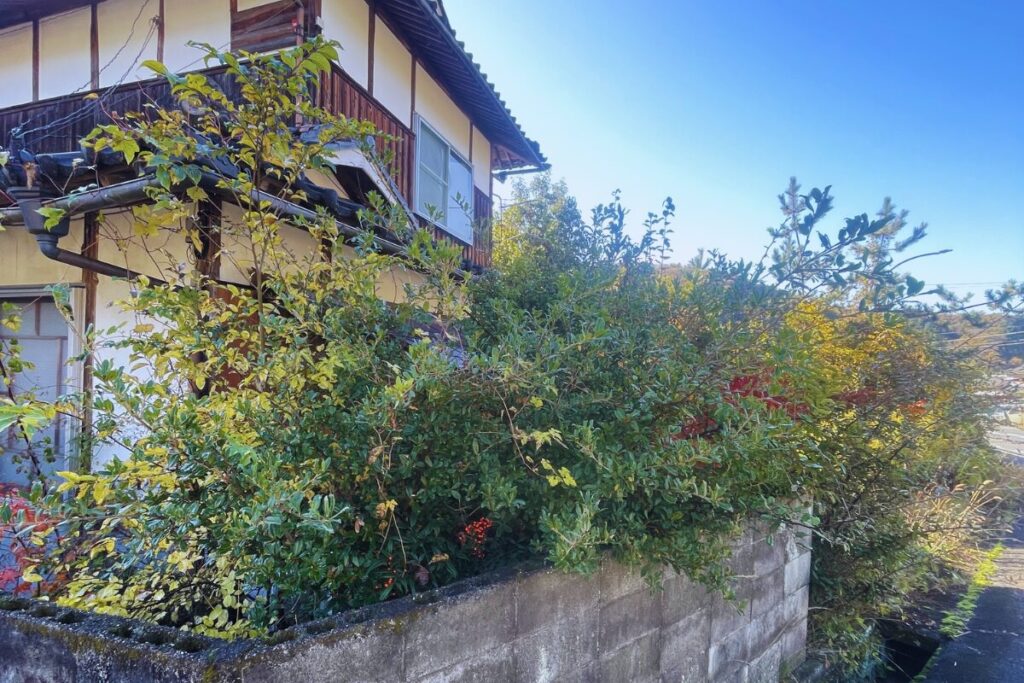 空き家　家と塀の間　剪定前