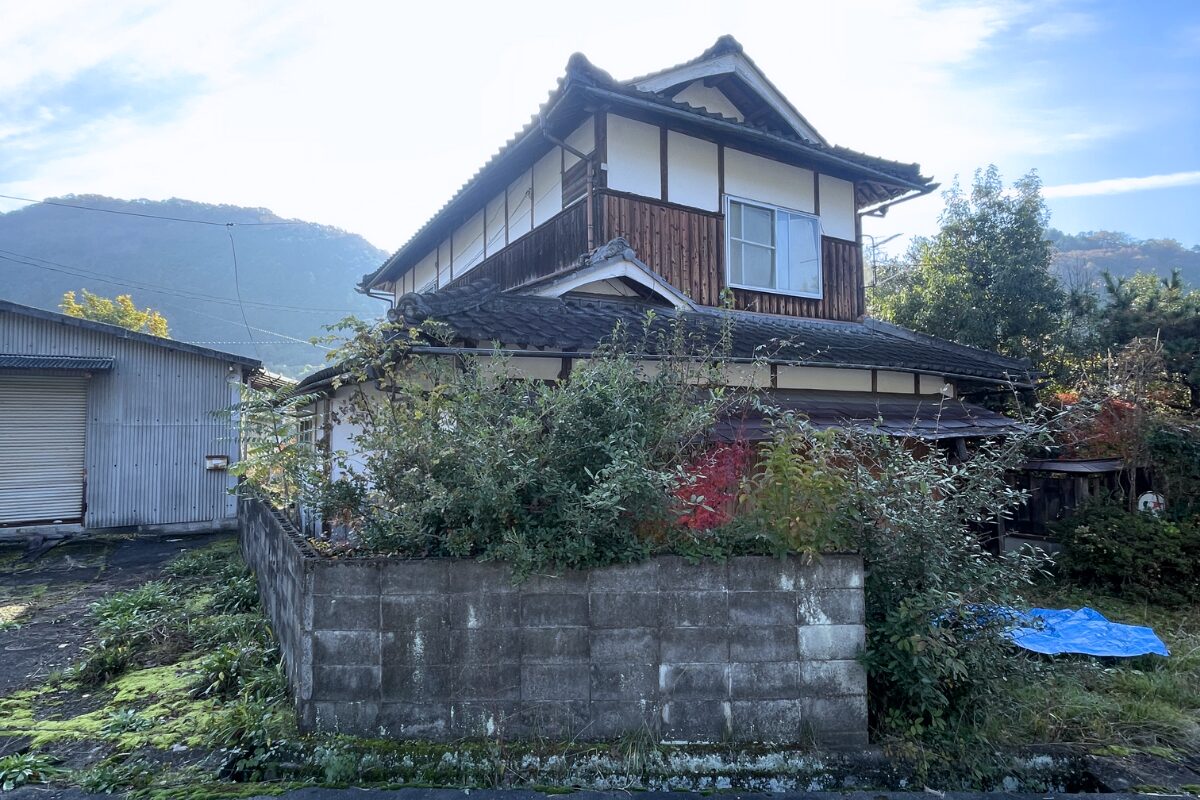【前編】空き家の道路沿いに生えている植物を切ってみたら、1日で終わらなかった