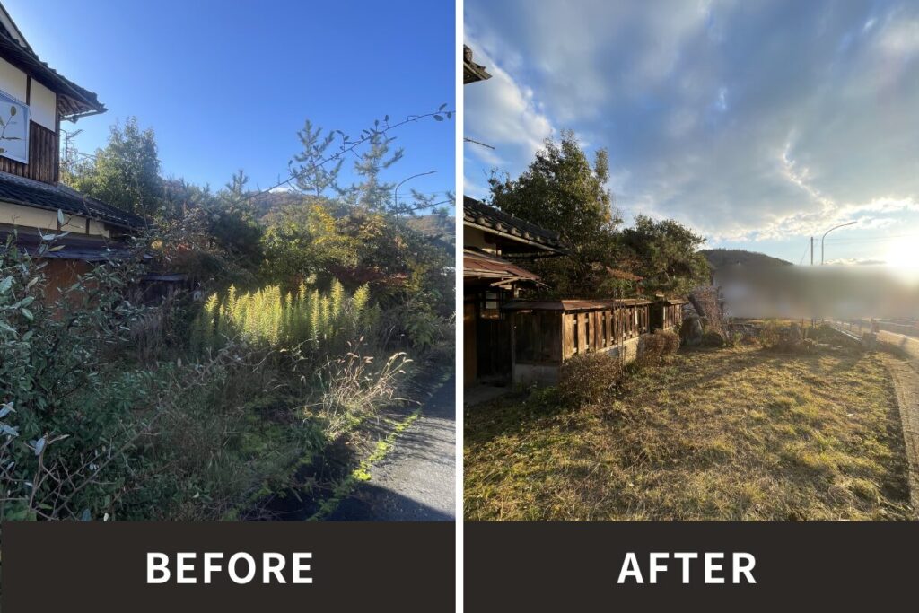 道路沿い植物作業前作業後