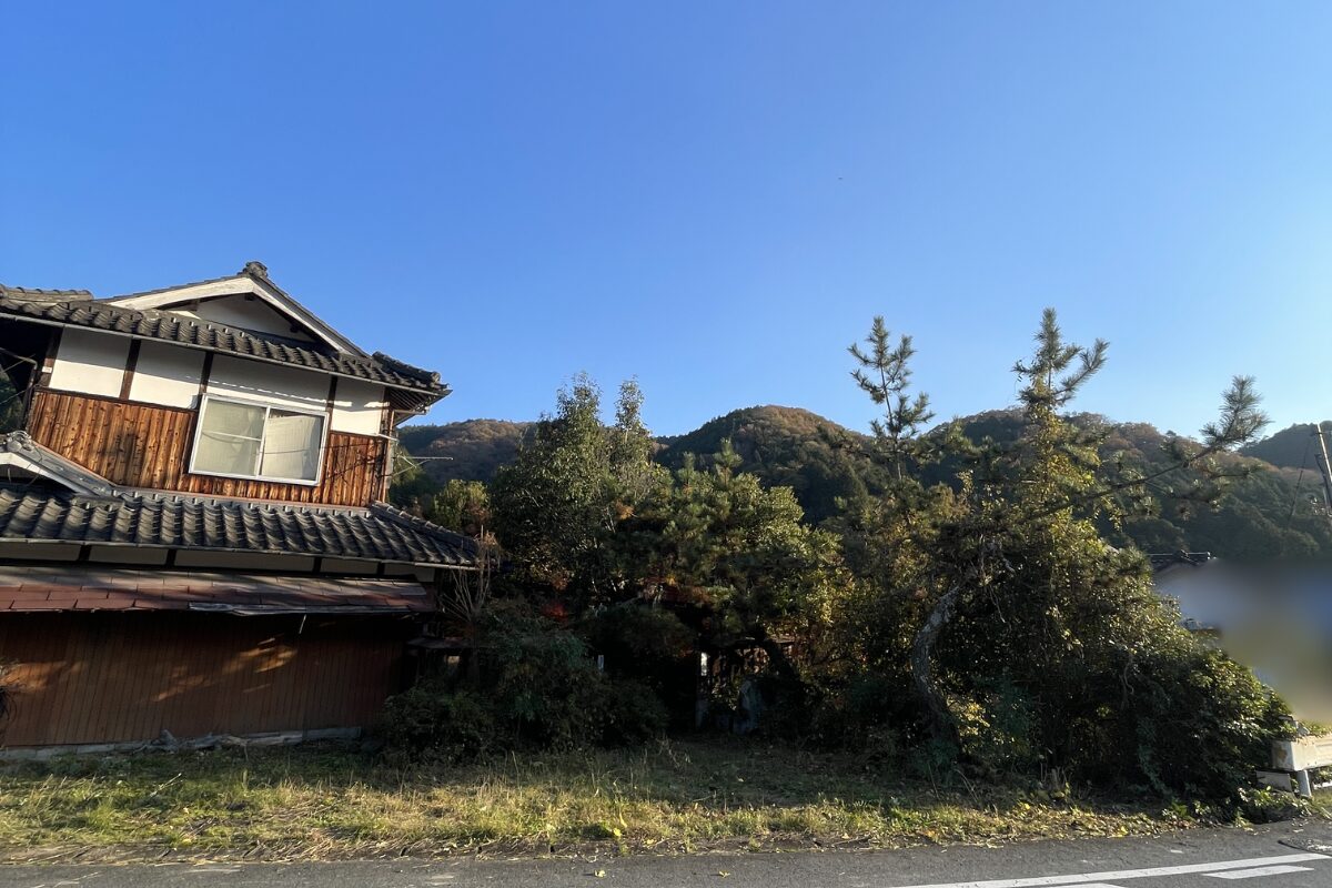 【後編】空き家の道路沿いに生えている植物を切ってみたら、1日で終わらなかった